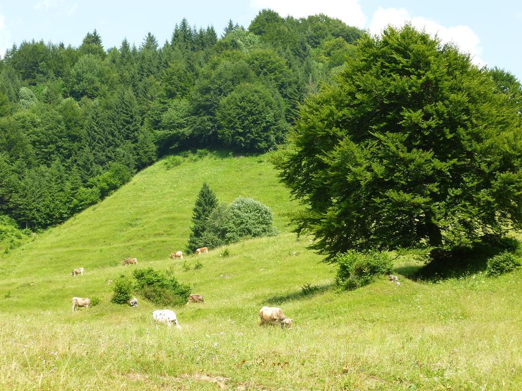 Hotel Cima d'Oro Molina di Ledro Esterno foto